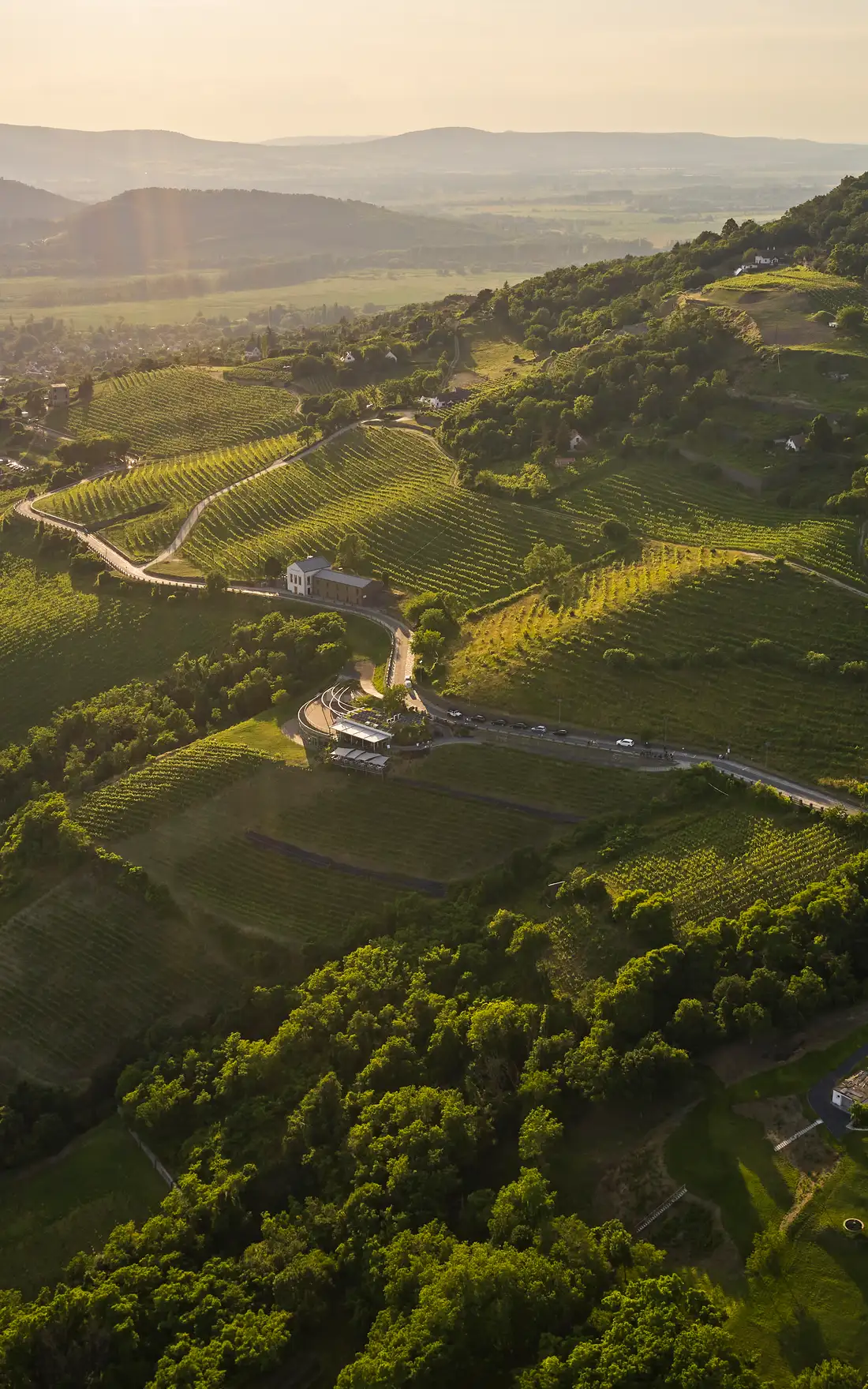 A badacsonyi domboldal szőlőültetvényei madártávlatból